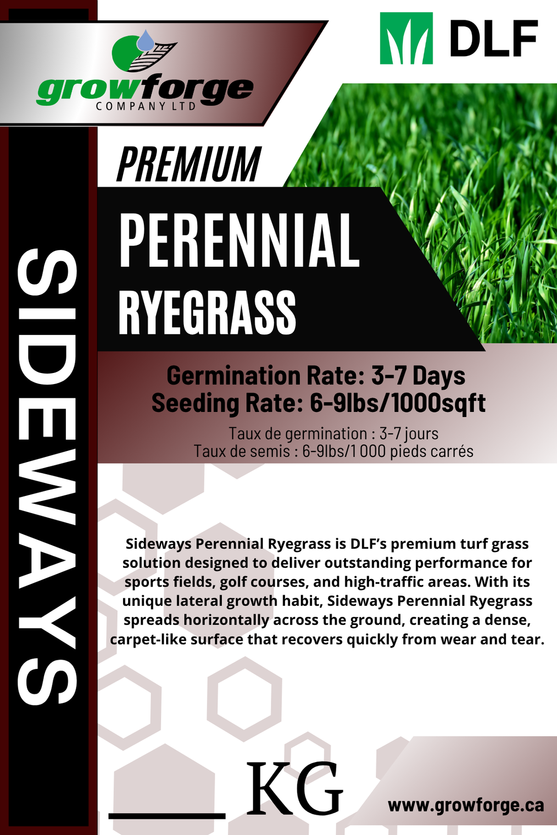 Sideways - Perennial Ryegrass - 1KG - Growforge
