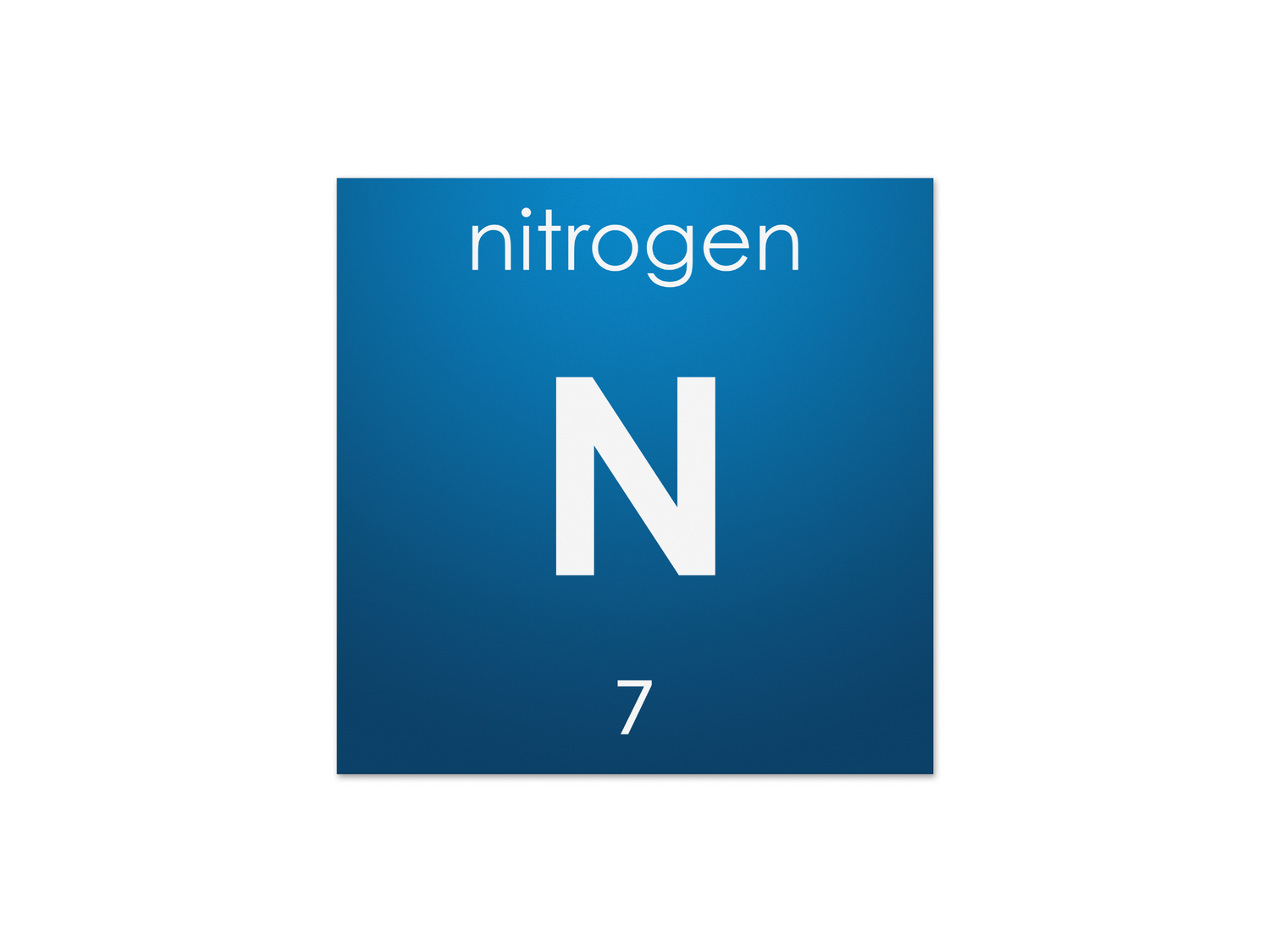 The Nitrogen Cycle